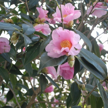 R0010160.JPG