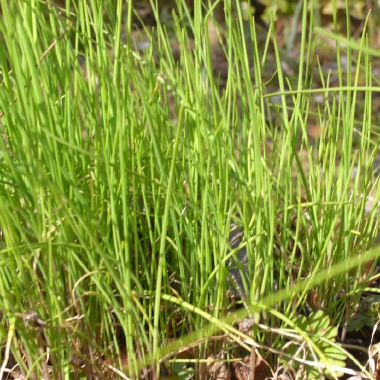 R0010100.JPG